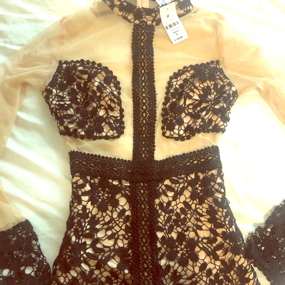 LF little black lace dress w/nude mesh